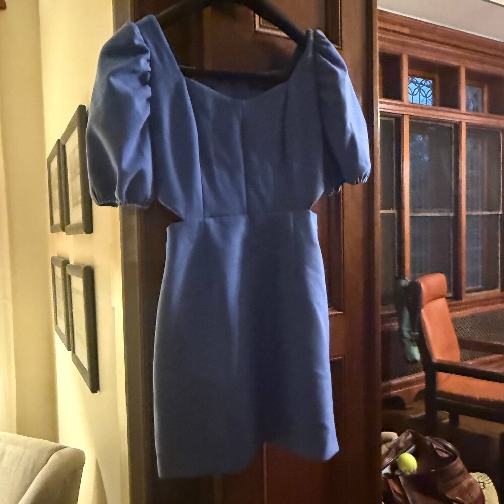 French Connection Periwinkle Mini Dress, Size XXS